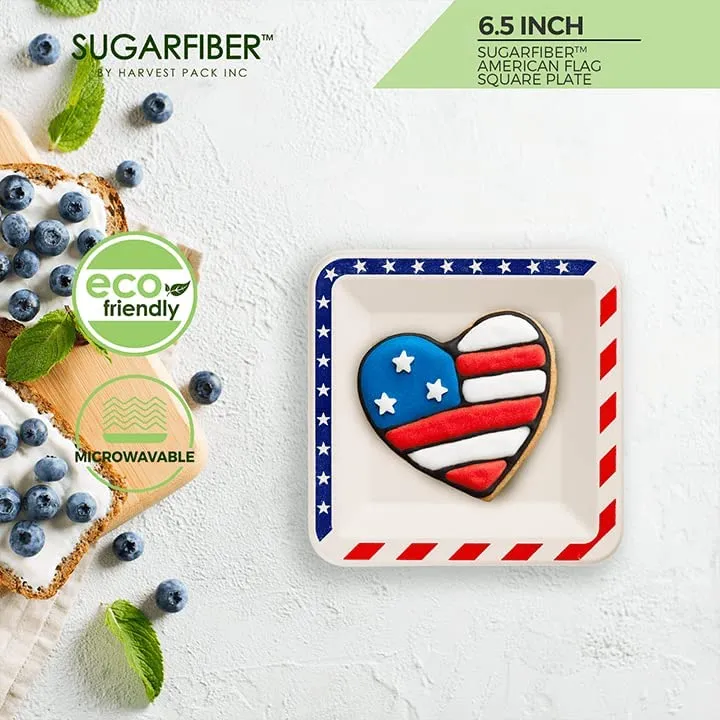 American Flag Contemporary Disposable Square Plate - Made From Natural Plant Fibers Compostable Eco Friendly