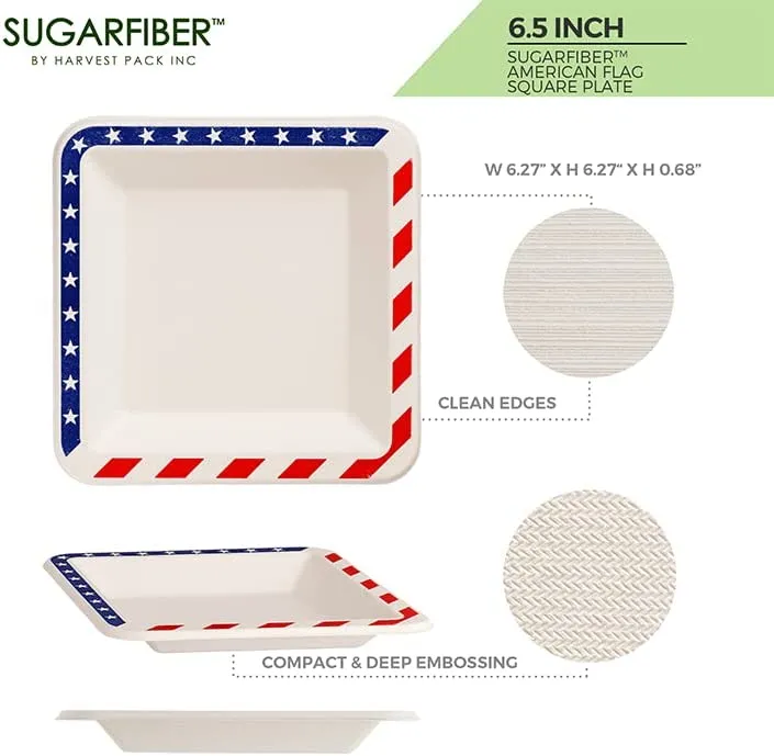 American Flag Contemporary Disposable Square Plate - Made From Natural Plant Fibers Compostable Eco Friendly